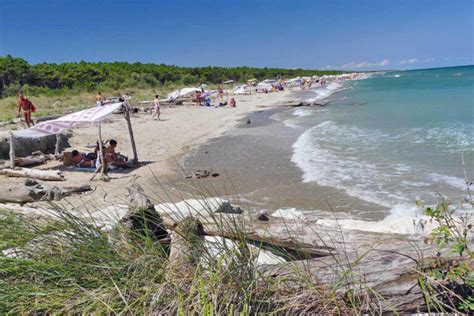 trans lido di dante|Lido di Dante: un lido segreto